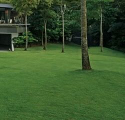 Binjai Walk (D21), Detached #559038211